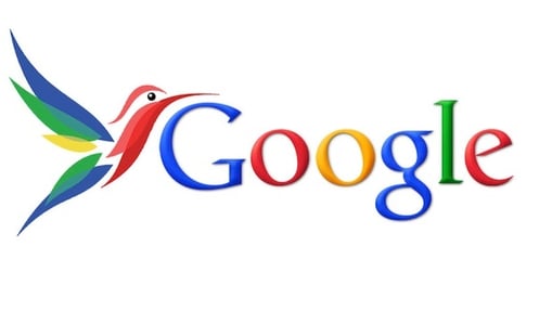 GoogleHummingbird