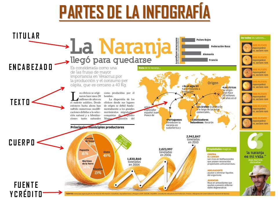 partes-de-la-infografía